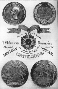 Medals from the Paris 1889 Exposition Universelle